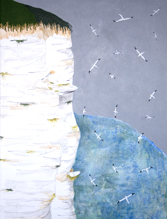 The Gannets of Bempton